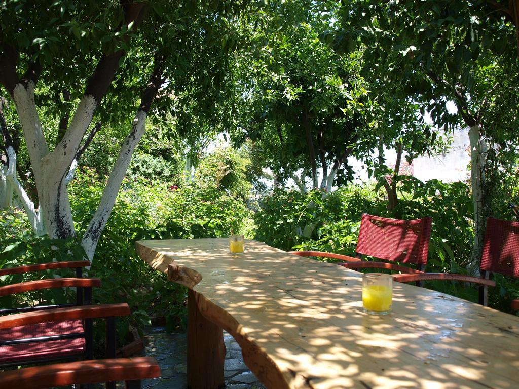 Εlegant Villa Liakos Pigi  외부 사진